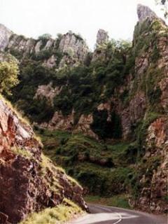 Cheddar gorge