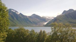 Svartisen-Gletscher reicht fast bis zum Fjord
